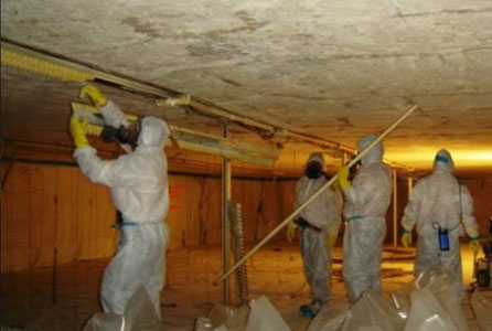 Asbestos Abatement