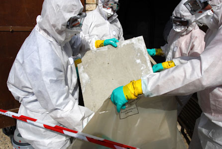 Asbestos Contractors