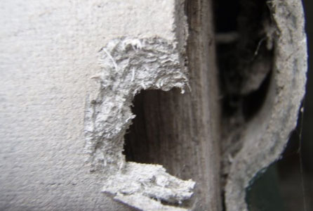 Asbestos Identification Asbestos Identification