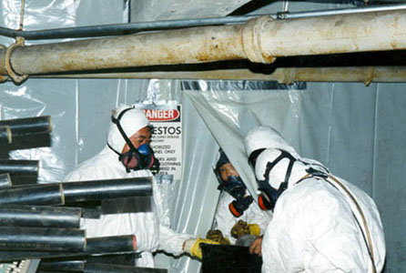 Asbestos Removal Costs
