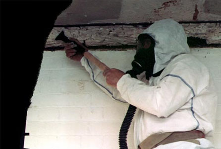 Asbestos Removal