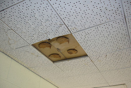 Asbestos Tiles Removal Asbestos Tiles Removal